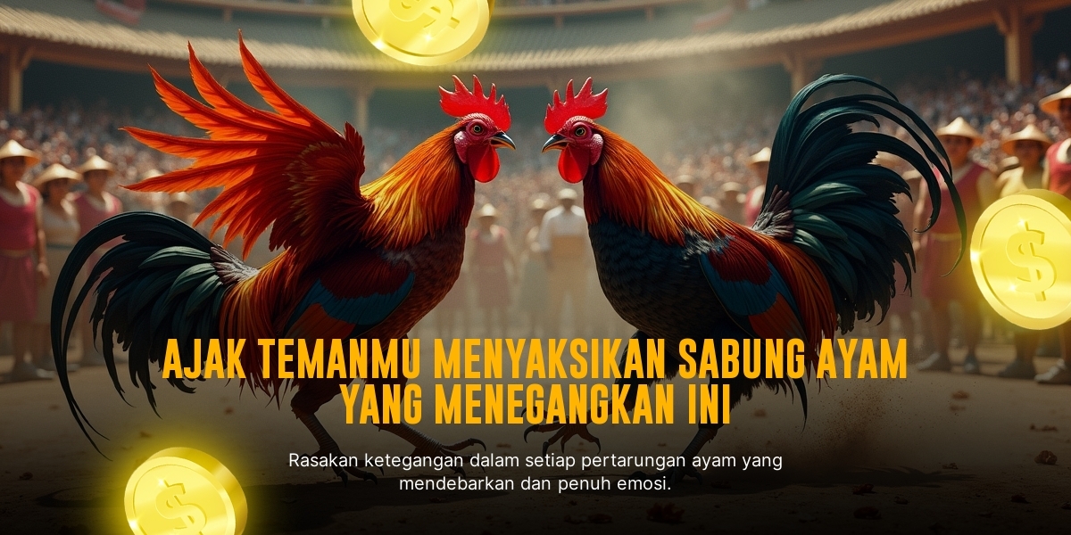 Mengupas Tuntas Sabung Ayam Bangkok dan Odds Menariknya